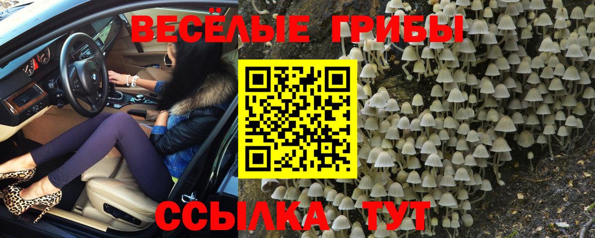 Мефедрон   Конопля  Вход с VPN  Куйбышев  Гашиш 